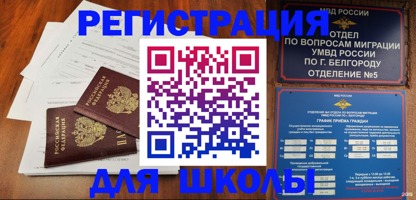 прописка поиск в Сафоново